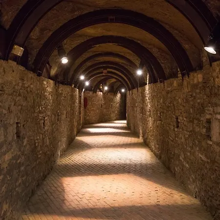 Whitehouse 게스트하우스 4*